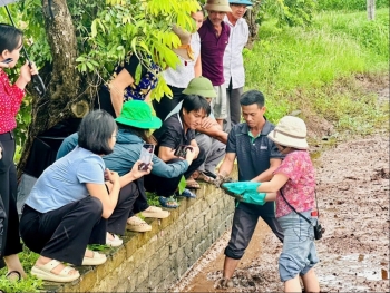mo hinh lua ruoi tai xa tan minh huong di ben vung nang cao gia tri nong san hai phong
