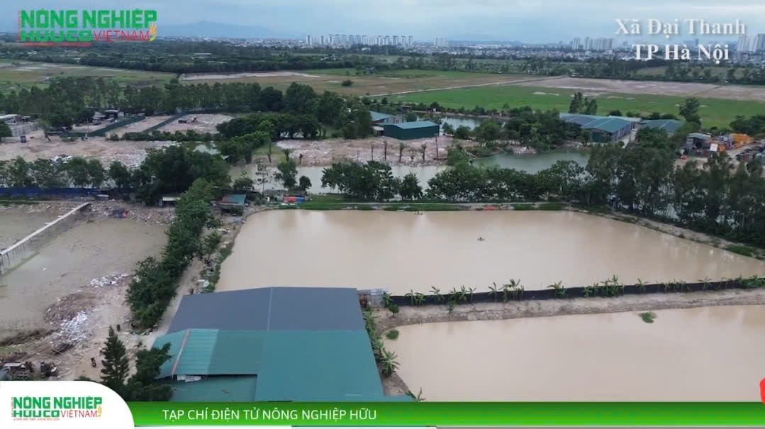 Hà Nội: Cần tăng cường công tác quản lý, sử dụng đất nông nghiệp ở xã Đại Thanh