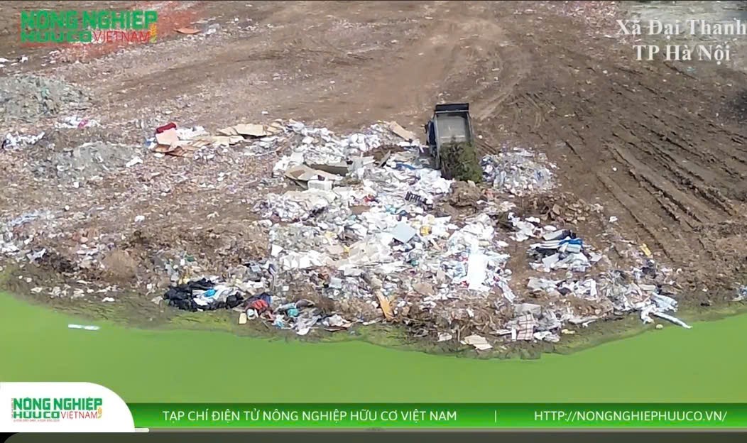 Hà Nội: Cần tăng cường công tác quản lý, sử dụng đất nông nghiệp ở xã Đại Thanh