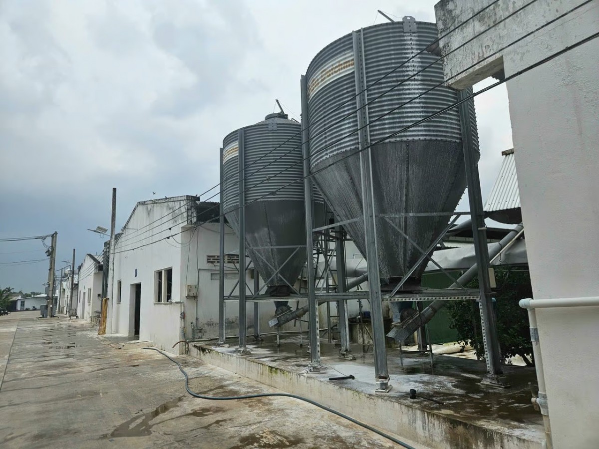 Phát triển nông nghiệp công nghệ cao, hữu cơ theo mô hình Israel ở Đồng Nai