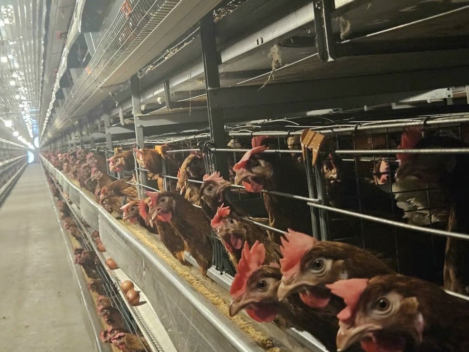 Phát triển nông nghiệp công nghệ cao, hữu cơ theo mô hình Israel ở Đồng Nai