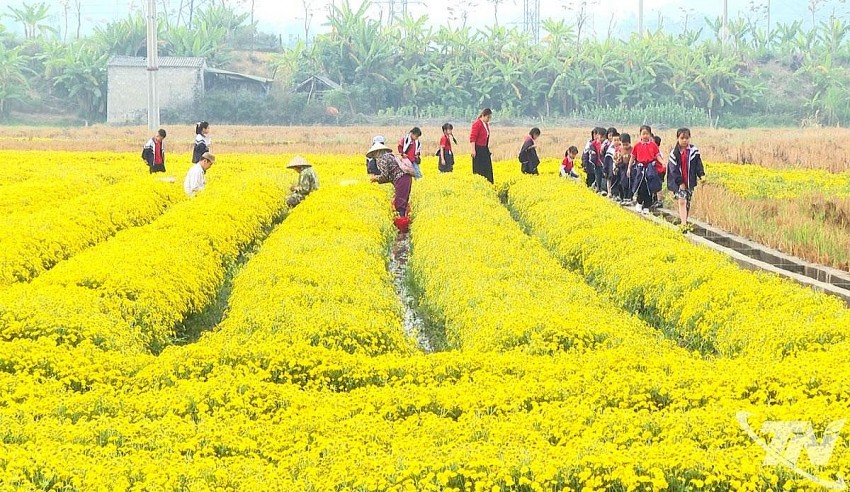 Hoàn thiện quy hoạch và chuỗi liên kết cho nông nghiệp