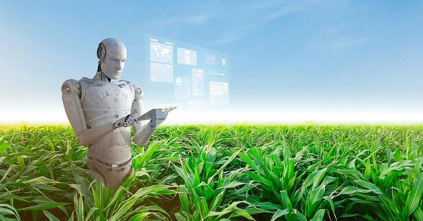 AI đang định hình nền nông nghiệp 2.0