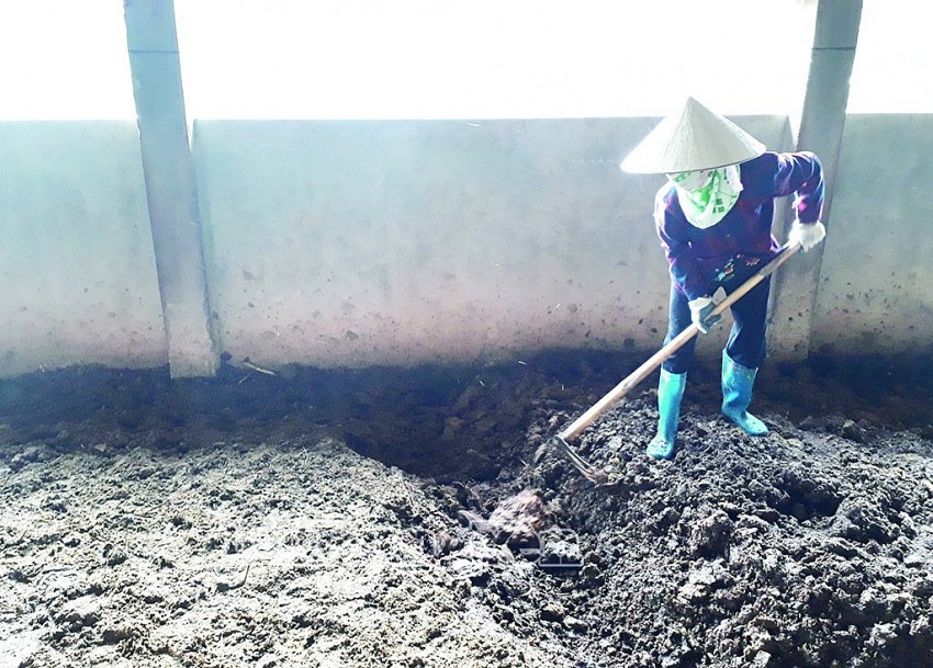 Ứng dụng công nghệ sinh học phát triển nông nghiệp bền vững