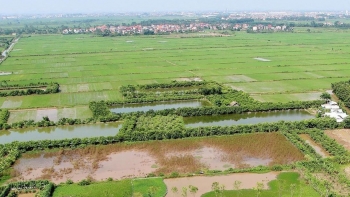 Bắc Ninh tăng tốc làm sạch, làm giàu cơ sở dữ liệu đất đai, “Quyết tâm hoàn thành trước hạn”
