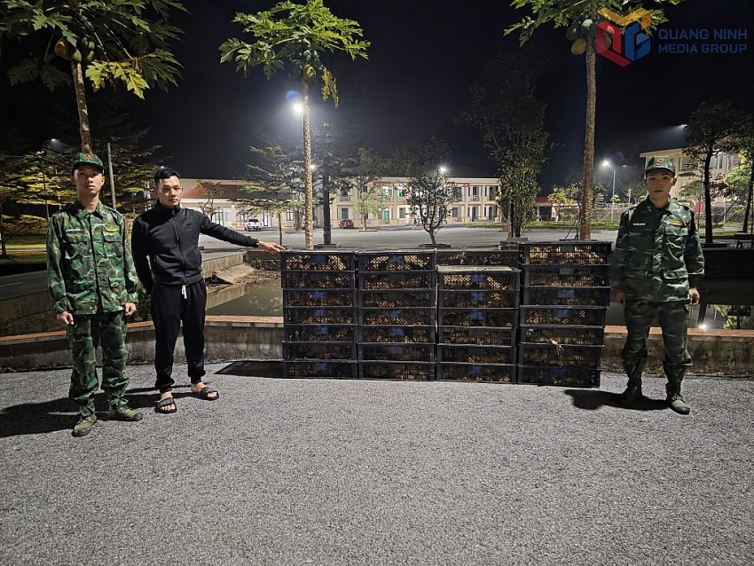 Đối tượng Phạm Văn Vượng cùng tang vật tại Đồn Biên phòng Pò Hèn.