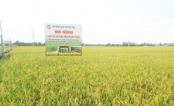 Hà Tĩnh chú trọng phát triển nông nghiệp hữu cơ giai đoạn 2025-2030