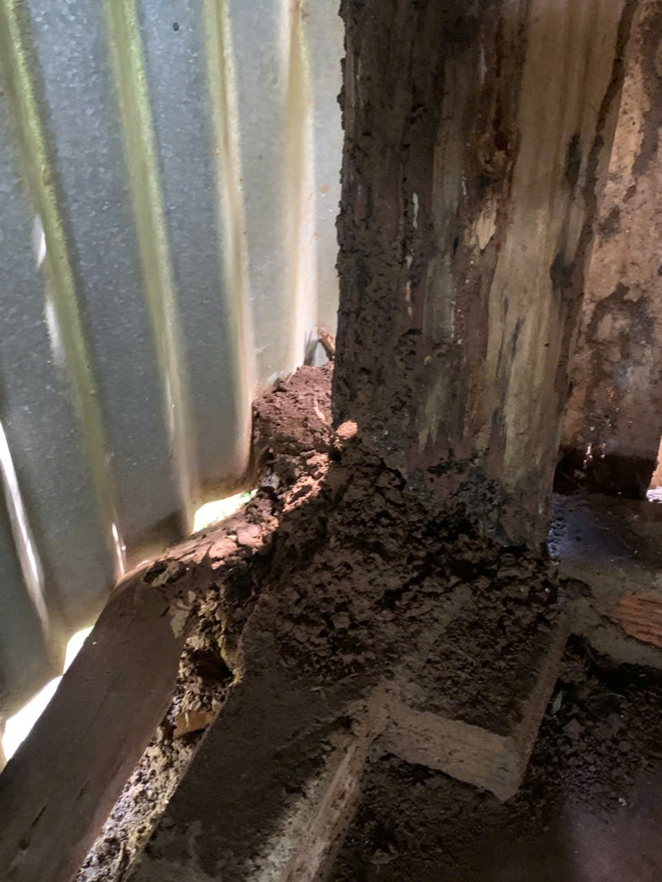 Đắk Lắk: Bão lũ qua đi, người dân còn đó những nỗi lo