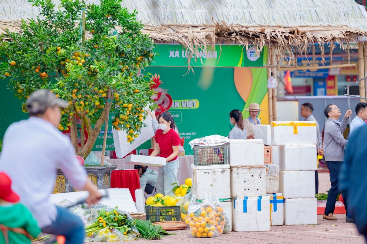 Lễ hội trái cây Bắc Ninh 2025: Quảng bá nông sản, nâng cao vị thế vùng trồng