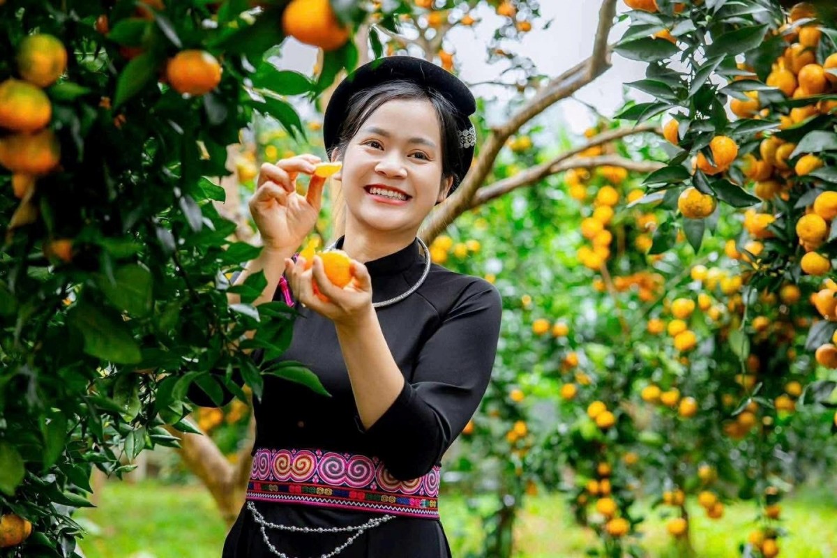 Lễ hội trái cây Bắc Ninh 2025: Quảng bá nông sản, nâng cao vị thế vùng trồng