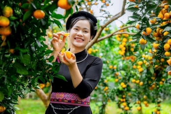 Lễ hội trái cây Bắc Ninh 2025: Quảng bá nông sản, nâng cao vị thế vùng trồng