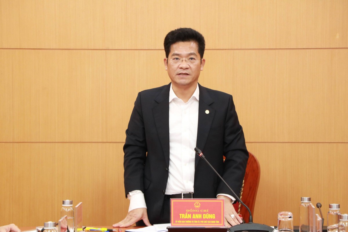 Ninh Bình họp trực tuyến về công tác phòng, chống bệnh Dịch tả lợn Châu Phi