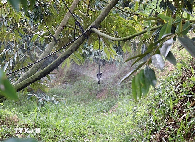 Đẩy mạnh ứng dụng công nghệ vào sản xuất nông nghiệp thông minh