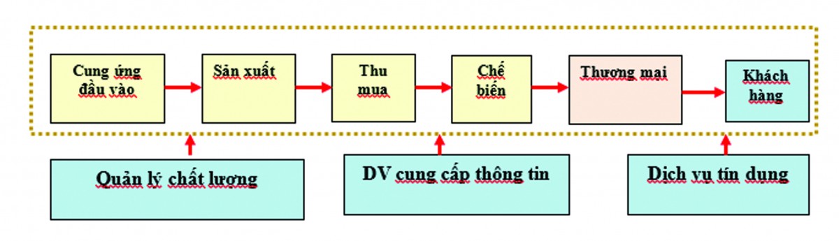 Giúp nông dân hiểu rõ lợi ích của chuỗi giá trị trong phát triển tổ hợp tác, hợp tác xã