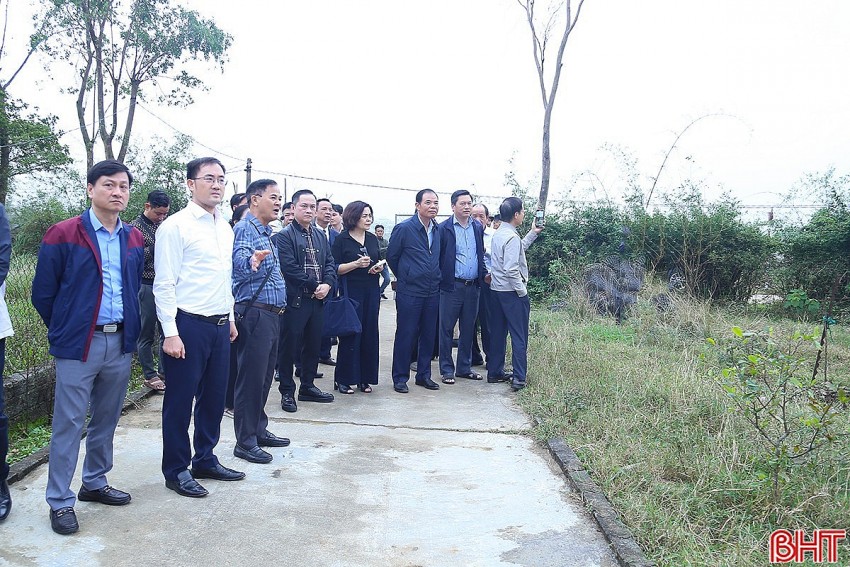 Khảo sát chuỗi mô hình tuần hoàn của Tập đoàn Quế Lâm tại Hà Tĩnh