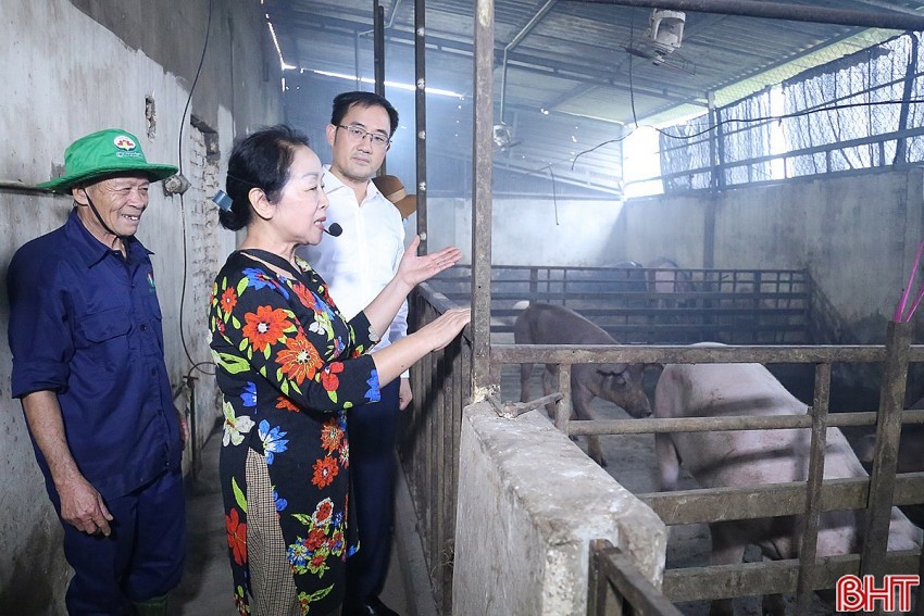 Khảo sát chuỗi mô hình tuần hoàn của Tập đoàn Quế Lâm tại Hà Tĩnh