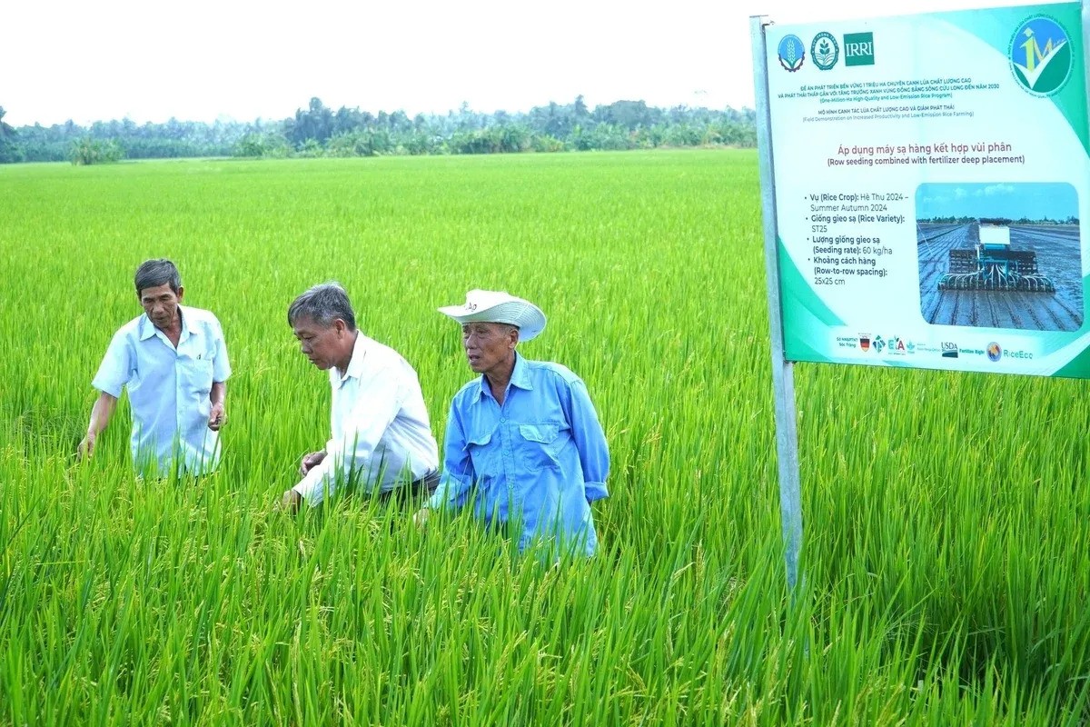 Giúp nông dân hiểu rõ lợi ích của chuỗi giá trị trong phát triển tổ hợp tác, hợp tác xã