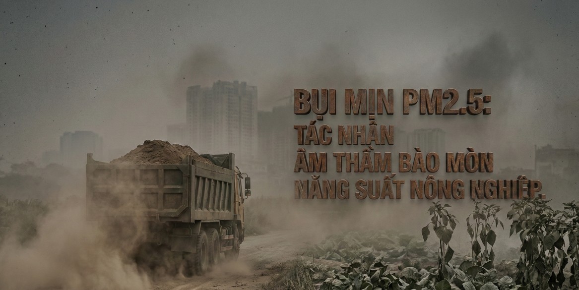 Bụi mịn, ô nhiễm không khí và tác động đến cây trồng ở Hà Nội