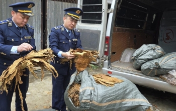 Cao Bằng: Thu giữ 1.231 kg nguyên liệu thuốc lá lá nhập lậu