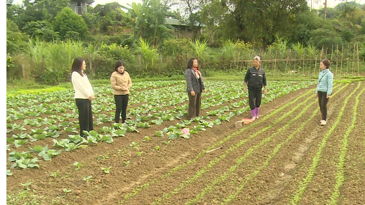 Màu xanh trở lại trên 