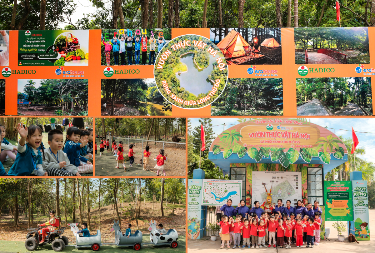 Vườn thực vật Hà Nội: Nơi bảo tồn, nghiên cứu và trải nghiệm độc đáo