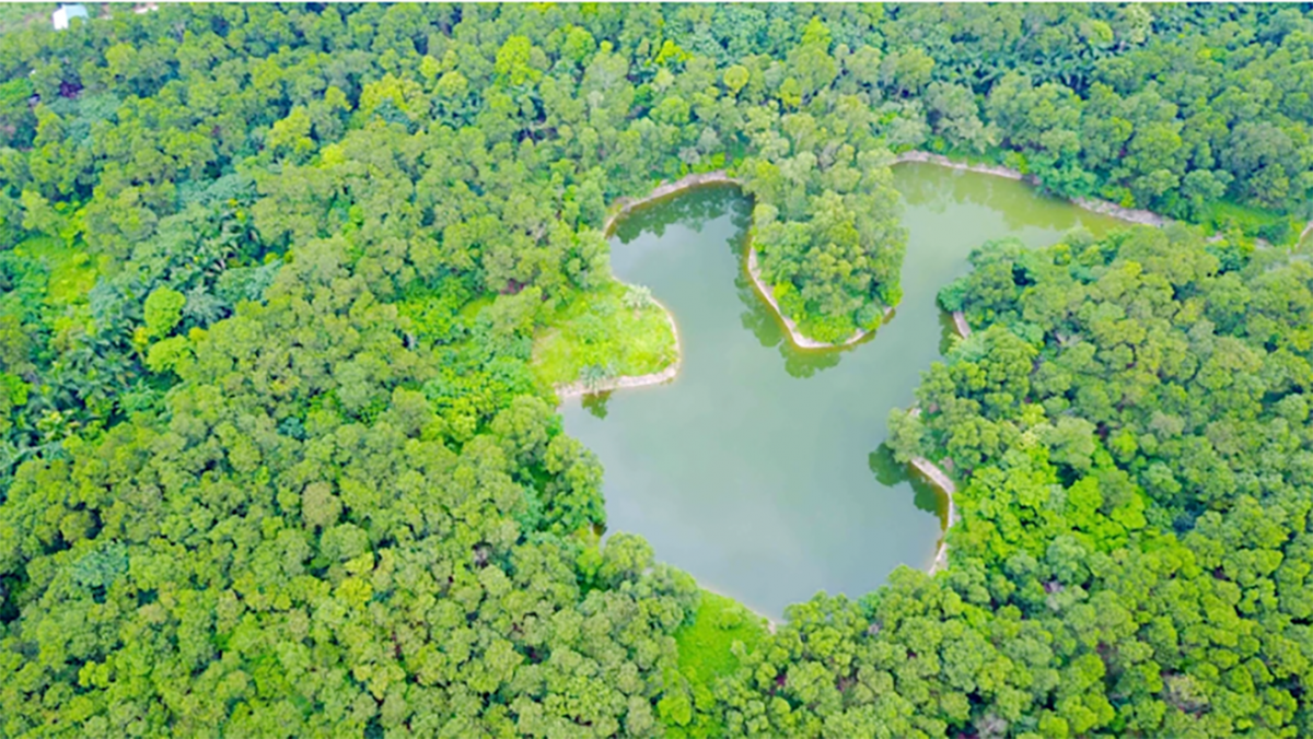 Vườn thực vật Hà Nội: Nơi bảo tồn, nghiên cứu và trải nghiệm độc đáo