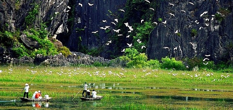 Định hình tương lai đa dạng sinh học - Bài 1: Chiến lược bảo tồn động vật hoang dã tại Việt Nam