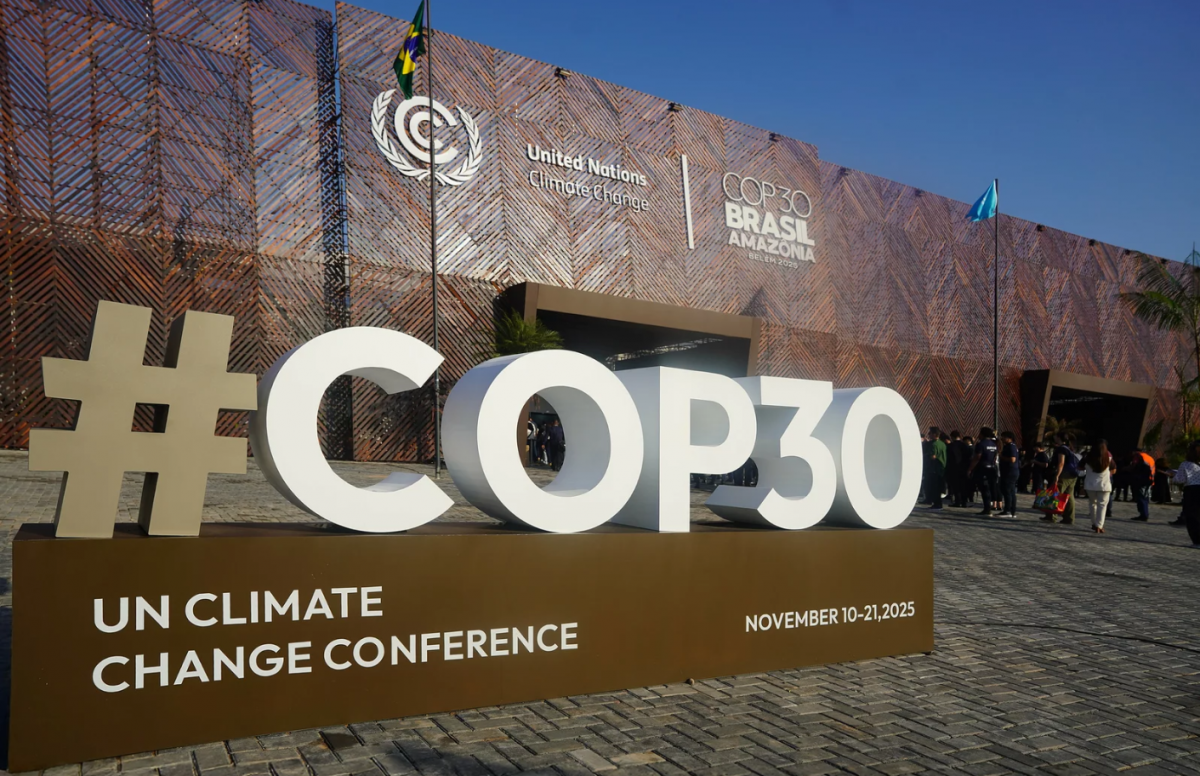 Định hình tương lai đa dạng sinh học - Bài 1: Chiến lược bảo tồn động vật hoang dã tại Việt Nam