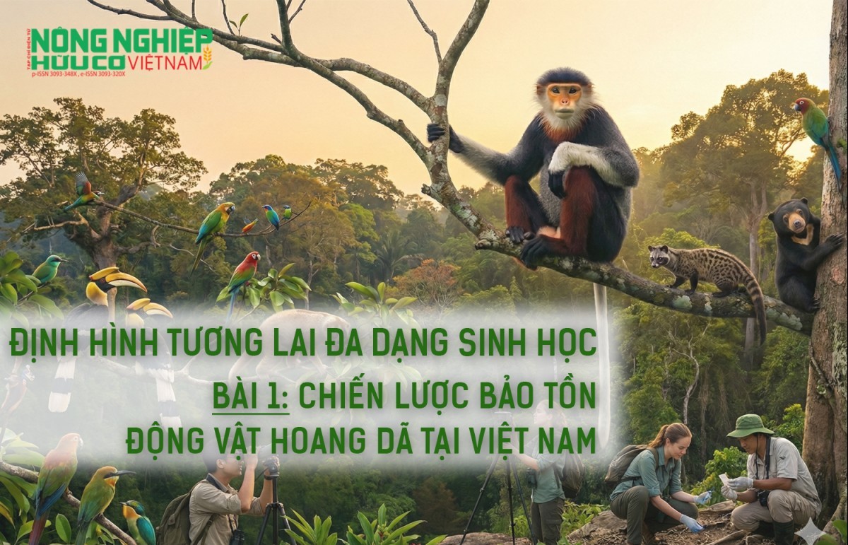 Định hình tương lai đa dạng sinh học - Bài 1: Chiến lược bảo tồn động vật hoang dã tại Việt Nam