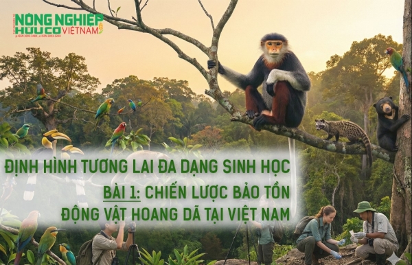 Định hình tương lai đa dạng sinh học - Bài 1: Chiến lược bảo tồn động vật hoang dã tại Việt Nam