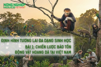 Định hình tương lai đa dạng sinh học - Bài 1: Chiến lược bảo tồn động vật hoang dã tại Việt Nam