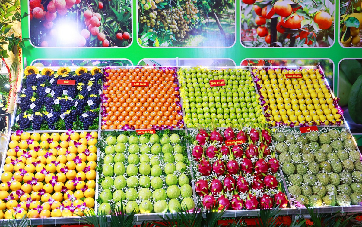 Bắc Ninh tưng bừng lễ hội trái cây 2025: Cơ hội vàng đưa đặc sản đến gần du khách