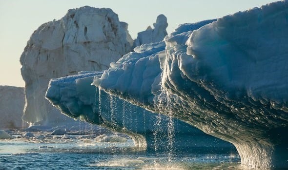 Sự suy giảm đa dạng sinh học sẽ khiến con người đứng trên bờ vực thẳm