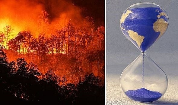 Sự suy giảm đa dạng sinh học sẽ khiến con người đứng trên bờ vực thẳm