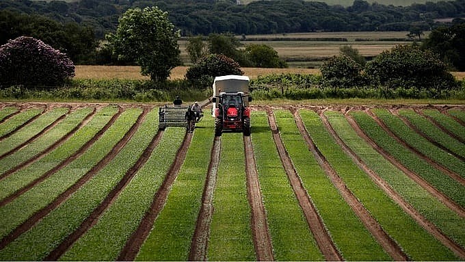 Vương quốc Anh giám sát và bảo vệ chất lượng đất canh tác như thế nào?