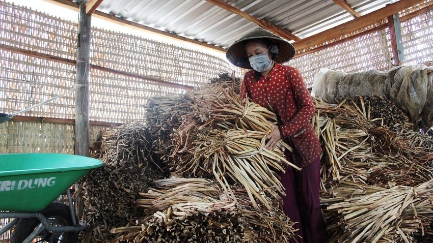 Cần Thơ: Doanh nghiệp tối ưu năng lượng tự nhiên, giảm phát thải khí nhà kính