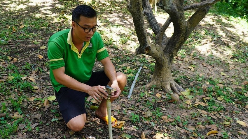 Áp dụng công nghệ canh tác cây ăn quả: Vừa nhàn, vừa tiết kiệm chi phí