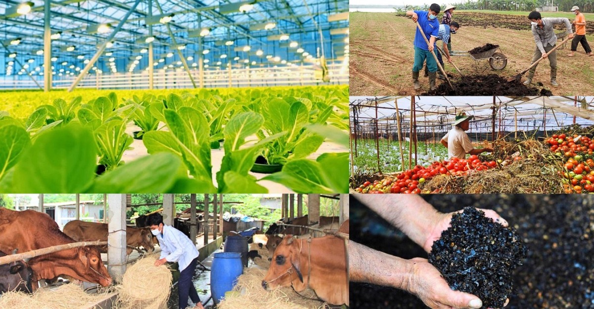 Tạo đột phá cho kinh tế tập thể, hợp tác xã với mô hình xanh, số, tuần hoàn