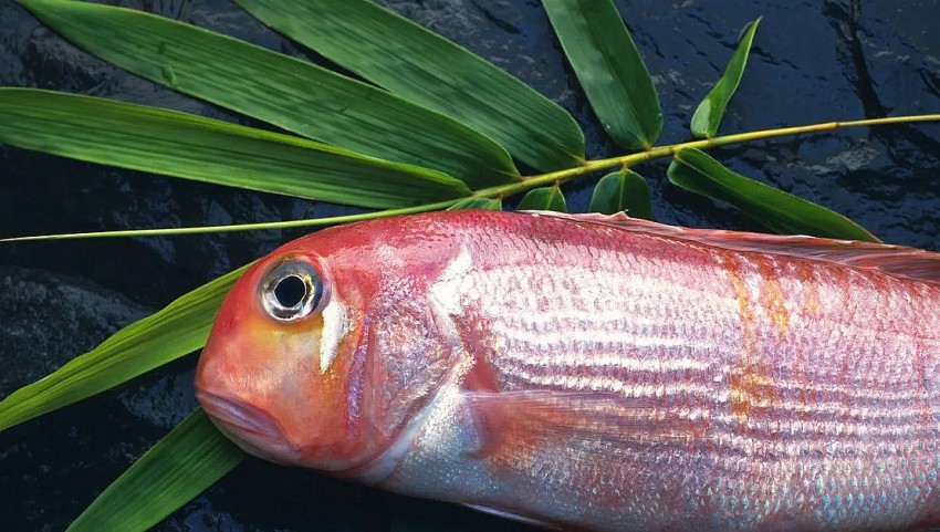 Những loại cá &quot;ngậm&quot; đầy thuỷ ngân, rẻ đến mấy cũng chớ nên mua