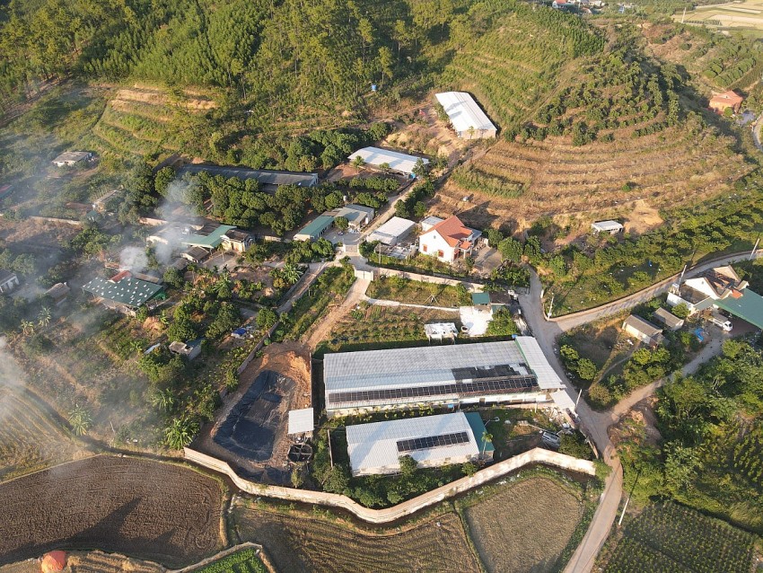 trang trại lợn và gà của hộ gia đình Quỳnh Lan. Ảnh: Duy Tùng