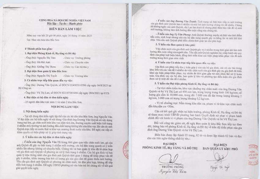 UBND Phường Bình Khê lập biên bản đối với hộ chăn nuôi Quỳnh Lan.