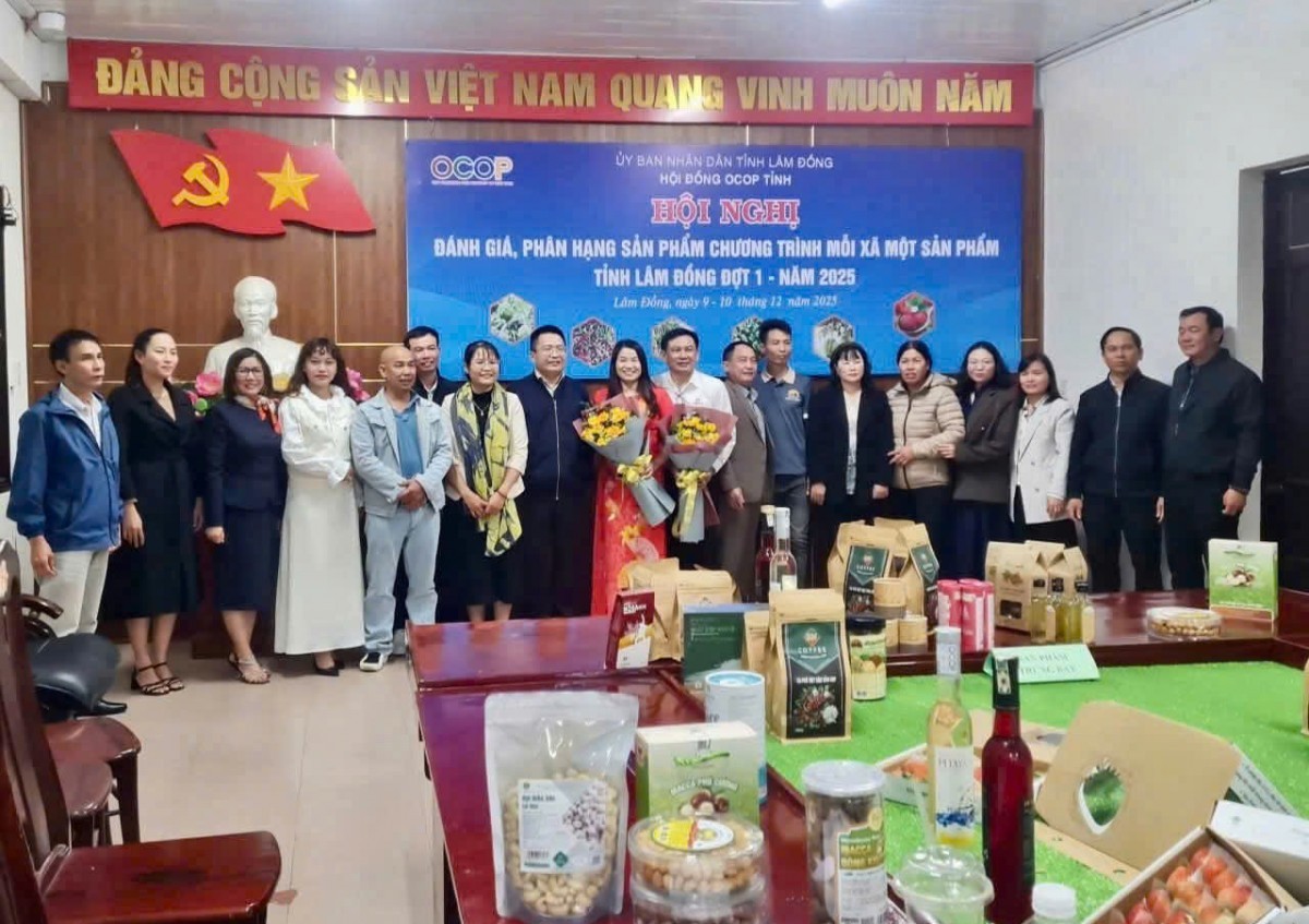 Lâm Đồng: Đề nghị sản phẩm Macca xã Thuận Hạnh đạt chuẩn OCOP 3 sao