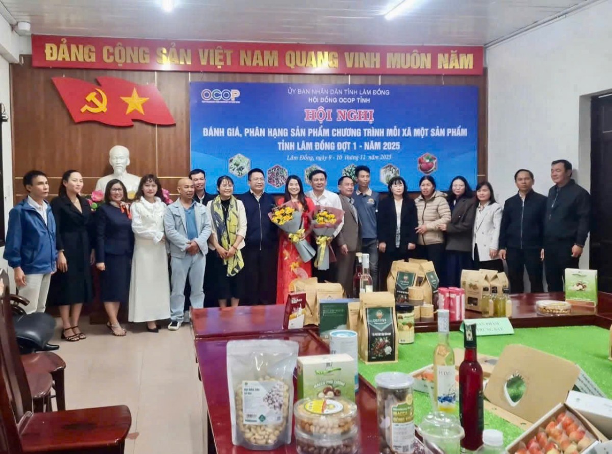 Lâm Đồng: Đề nghị sản phẩm Macca xã Thuận Hạnh đạt chuẩn OCOP 3 sao