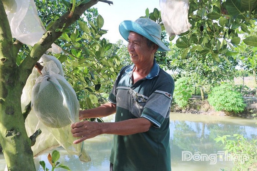 Phát triển kinh tế nông nghiệp bền vững