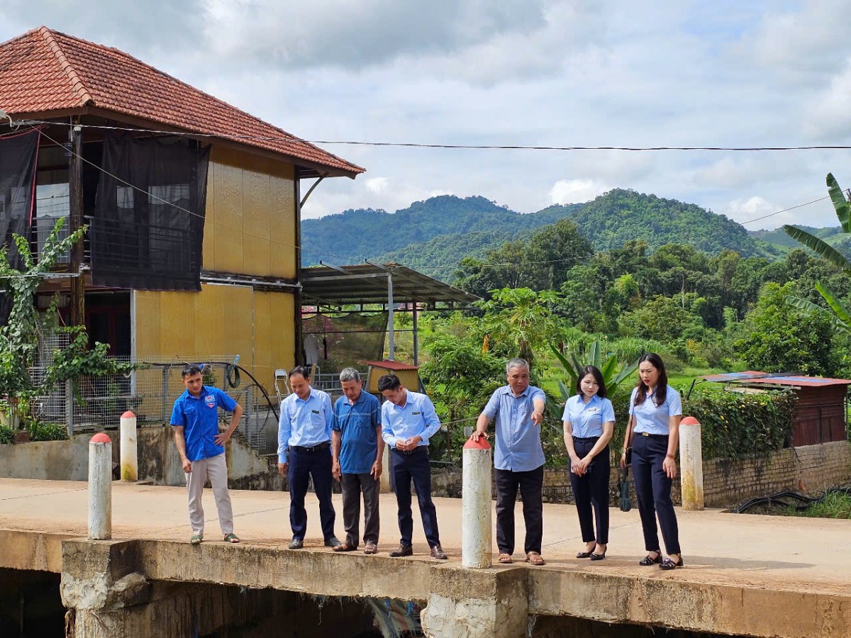 Quỹ Bảo vệ và Phát triển rừng Sơn La: Minh bạch để cùng nhau phát triển.