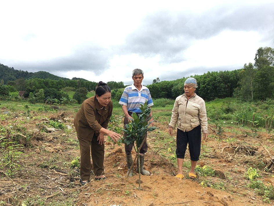 Câu chuyện đẹp về nghĩa tình đồng đội của những nữ thanh niên xung phong