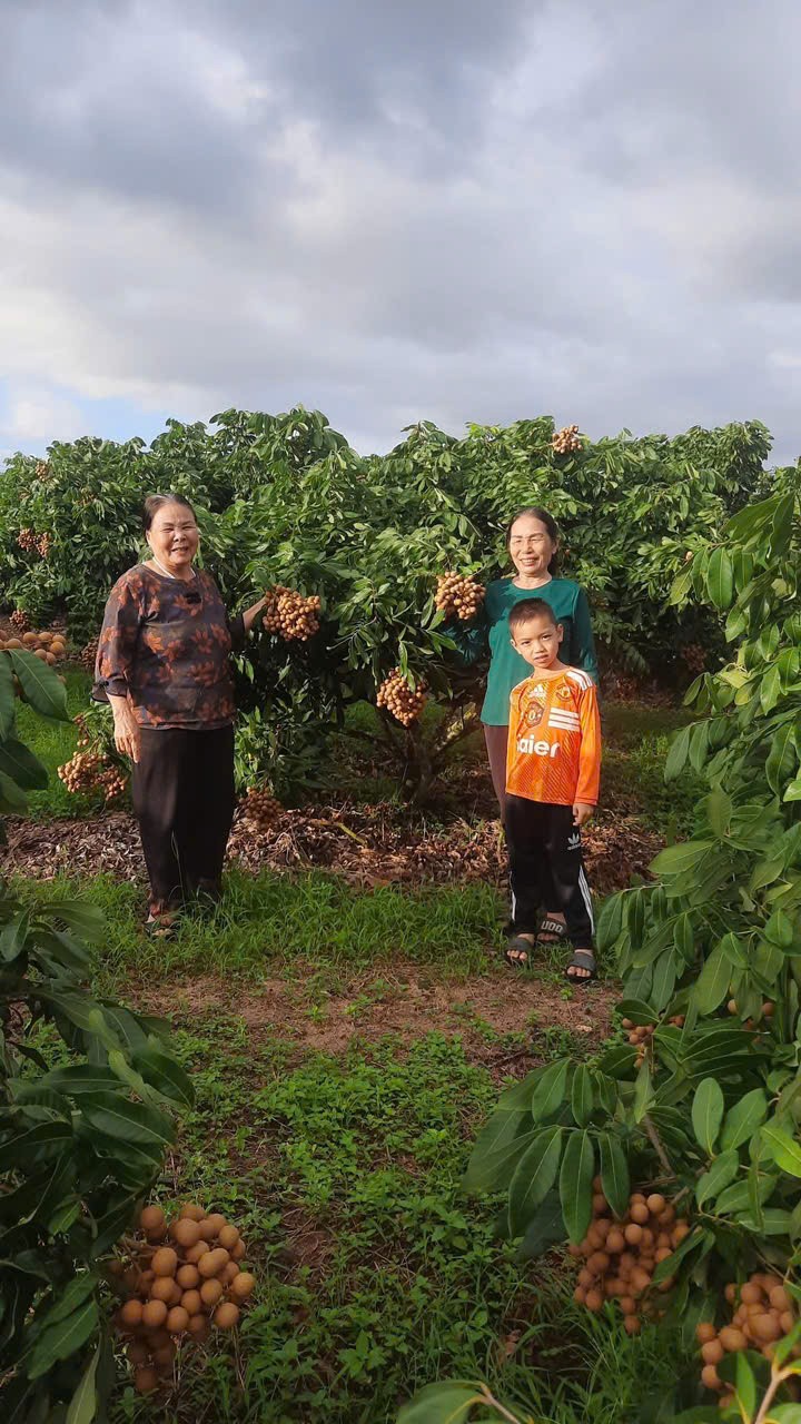 Câu chuyện đẹp về nghĩa tình đồng đội của những nữ thanh niên xung phong