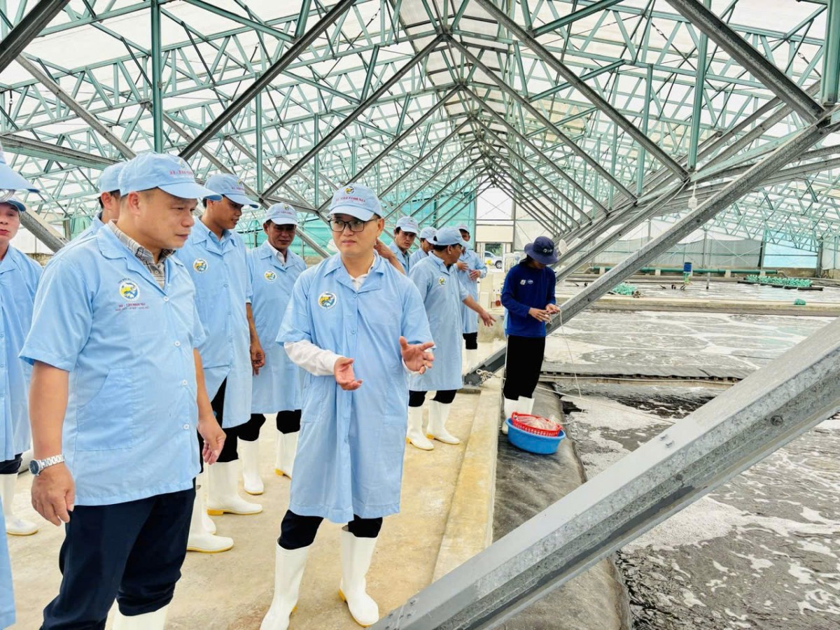 Gia Lai tăng cường chỉ đạo và quản lý nuôi trồng thủy sản năm 2026