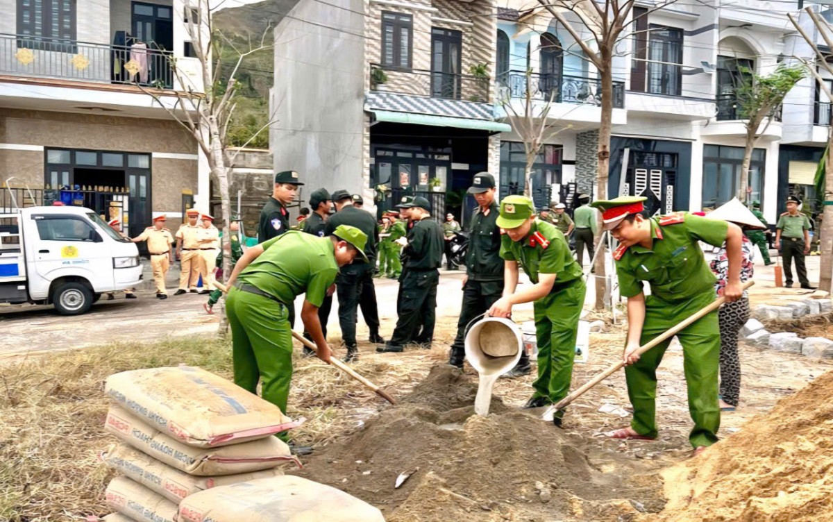 Gia Lai triển khai giải pháp khắc phục hậu quả thiên tai, phục hồi sản xuất