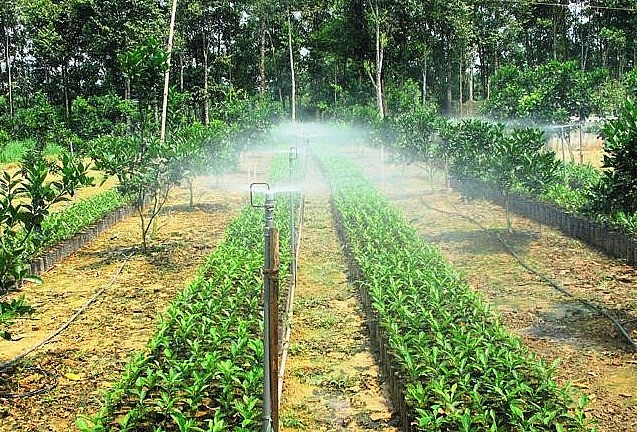 Công tác dân vận trong xây dựng nông thôn mới ở Hà Tĩnh (Bài 3): Thành công từ những mô hình sáng tạo